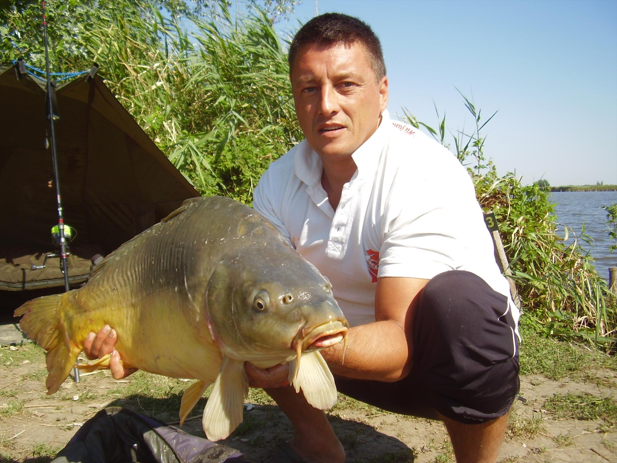 Alejandro Carp Team - Ohat Ungaria 2013 - p5070029.JPG